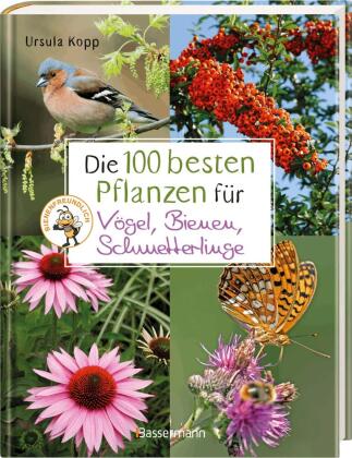 Die 100 besten Pflanzen für Vögel, Bienen, Schmetterlinge