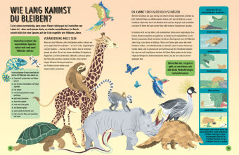 Eine kurze Geschichte von fast allem - Ausgabe für junge Leser