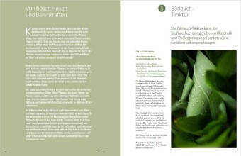Wildkräuter vor deiner Haustür - Silbermedaille GAD 2022 - Deutscher Kochbuchpreis (bronze)