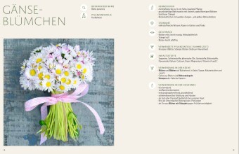 Wildkräuter vor deiner Haustür - Silbermedaille GAD 2022 - Deutscher Kochbuchpreis (bronze)