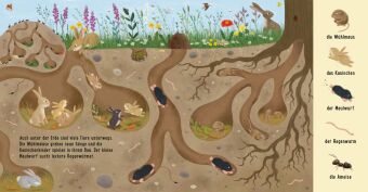 Mein erstes Natur-Wimmelbuch: Tiere auf der Wiese