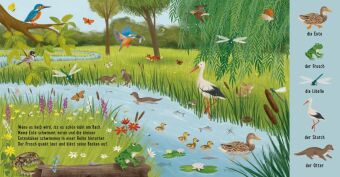 Mein erstes Natur-Wimmelbuch: Tiere auf der Wiese