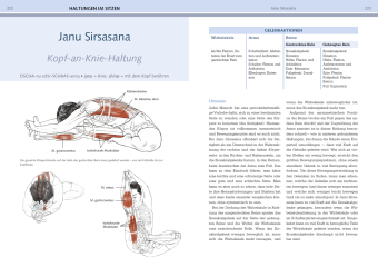 Yoga-Anatomie