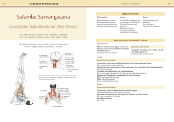 Yoga-Anatomie