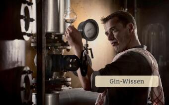 Gin