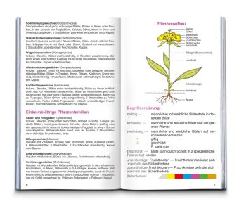 KOMPASS Naturführer Wiesenblumen