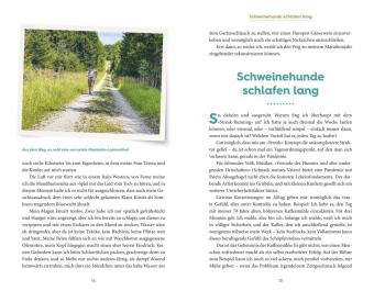Lauf, Wigald, lauf