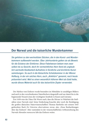 Der Rabe und der schlechte Leumund