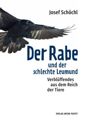 Der Rabe und der schlechte Leumund