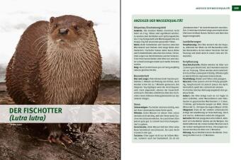 Wildtiere im Fokus