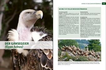 Wildtiere im Fokus
