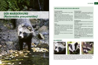 Wildtiere im Fokus