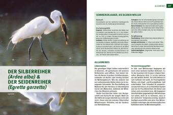 Wildtiere im Fokus
