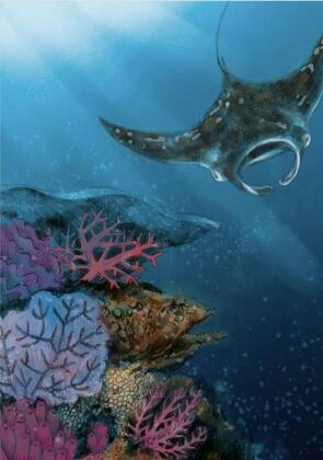 Wunderwelt der Tiere im Meer - Gelesen von Jakob Graf