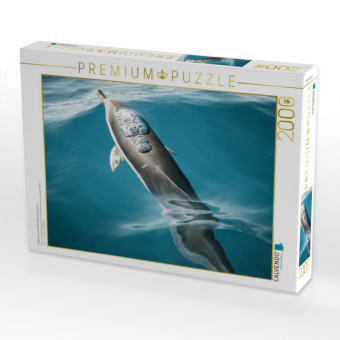CALVENDO Puzzle Madeiras freundliche Meeresbewohner | 2000 Teile Lege-Größe 90x67cm Foto-Puzzle für glückliche Stunden