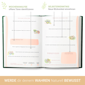 Erkenne die offenen Türen, die Dich zu Deiner Bestimmung führen
