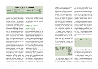 Diabetes rückgängig machen - Das Kochbuch