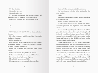 Lügner-Reihe, Band 1 - We Were Liars. Solange wir lügen.