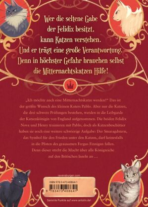 Mitternachtskatzen, Band 2 - Die Hüter des Smaragdsterns 