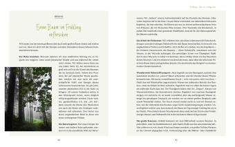 Die Welt der Naturgeister - Das Arbeitsbuch