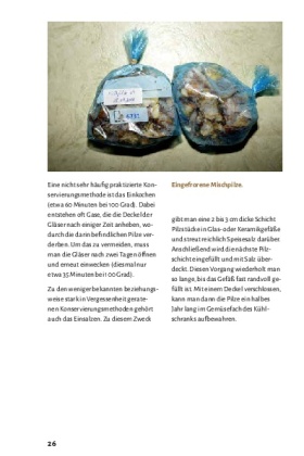 Pilze bestimmen - Der kleine Pilzführer für Einsteiger und Fortgeschrittene
