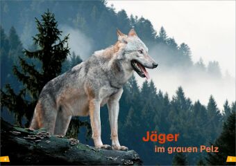 WAS IST WAS Erstes Lesen Band 20. Wölfe 