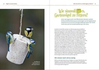 Vögel füttern im Garten