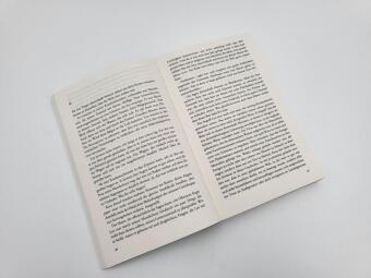 Die Möbel des Teufels