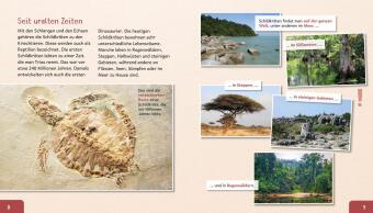 Meine große Tierbibliothek: Die Schildkröte 