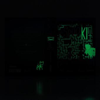 SpooKI: Ins Netz gegangen 