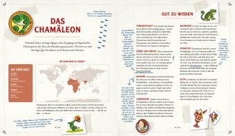 Die Schule der magischen Tiere Erstausstattung: Mister Morrisons gesammeltes Tierwissen