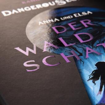 Disney - Dangerous Secrets 4: Elsa und Anna: DER WALD DER SCHATTEN (Die Eiskönigin)