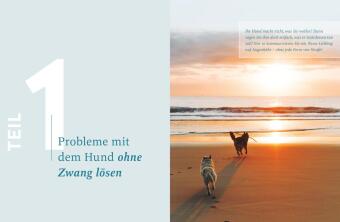 Hilfe, mein Hund macht, was er will!