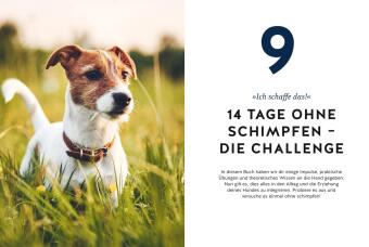 Hunde erziehen ohne Schimpfen