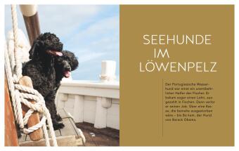 Gefährte Hund
