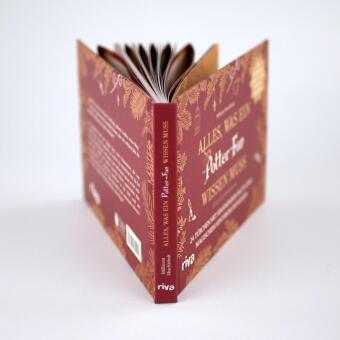 Alles, was ein Potter-Fan wissen muss