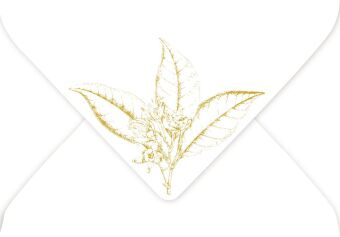 Briefpapier-Set - Sammlung Augustina