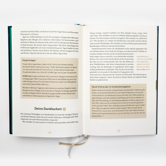 Das 6-Minuten-Tagebuch (lagune)