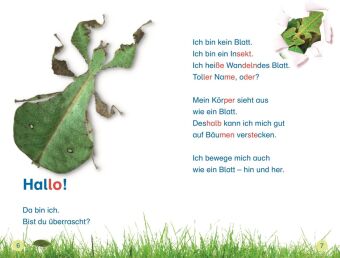 SUPERLESER! Insekten, top getarnt