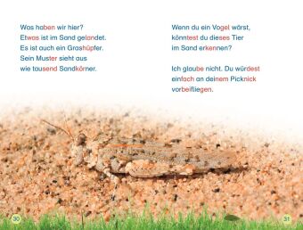SUPERLESER! Insekten, top getarnt