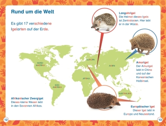 SUPERLESER! Hallo, Igel!