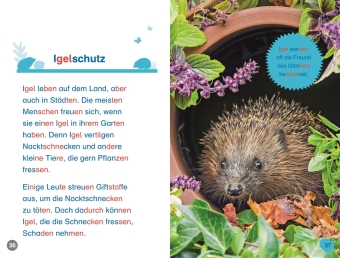 SUPERLESER! Hallo, Igel!