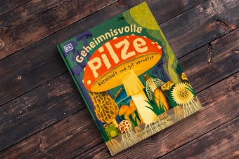 Geheimnisvolle Pilze