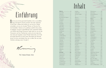 Wundervolle Welt der Dinosaurier und der Urzeit