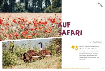 52 kleine & große Eskapaden in Rheinhessen