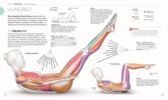 Pilates - Die Anatomie verstehen
