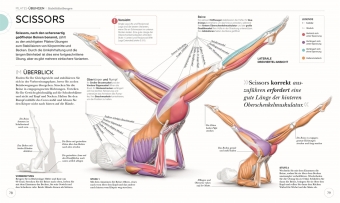 Pilates - Die Anatomie verstehen