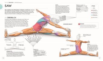 Pilates - Die Anatomie verstehen