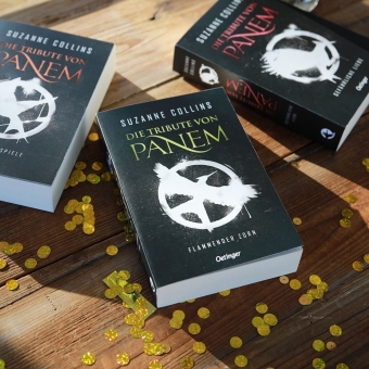 Die Tribute von Panem 3. Flammender Zorn