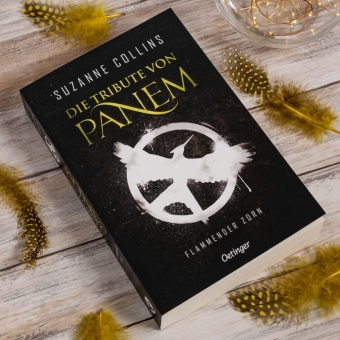 Die Tribute von Panem 3. Flammender Zorn